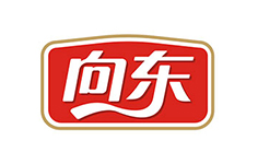 向东